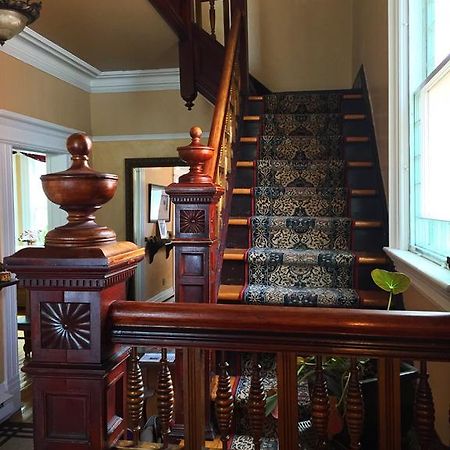 At Wit'S Inn St. John's Bagian luar foto