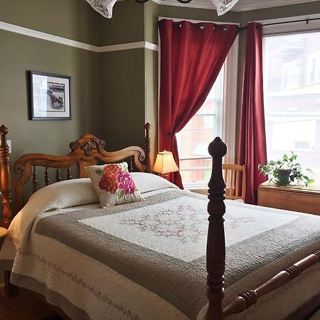 At Wit'S Inn St. John's Bagian luar foto